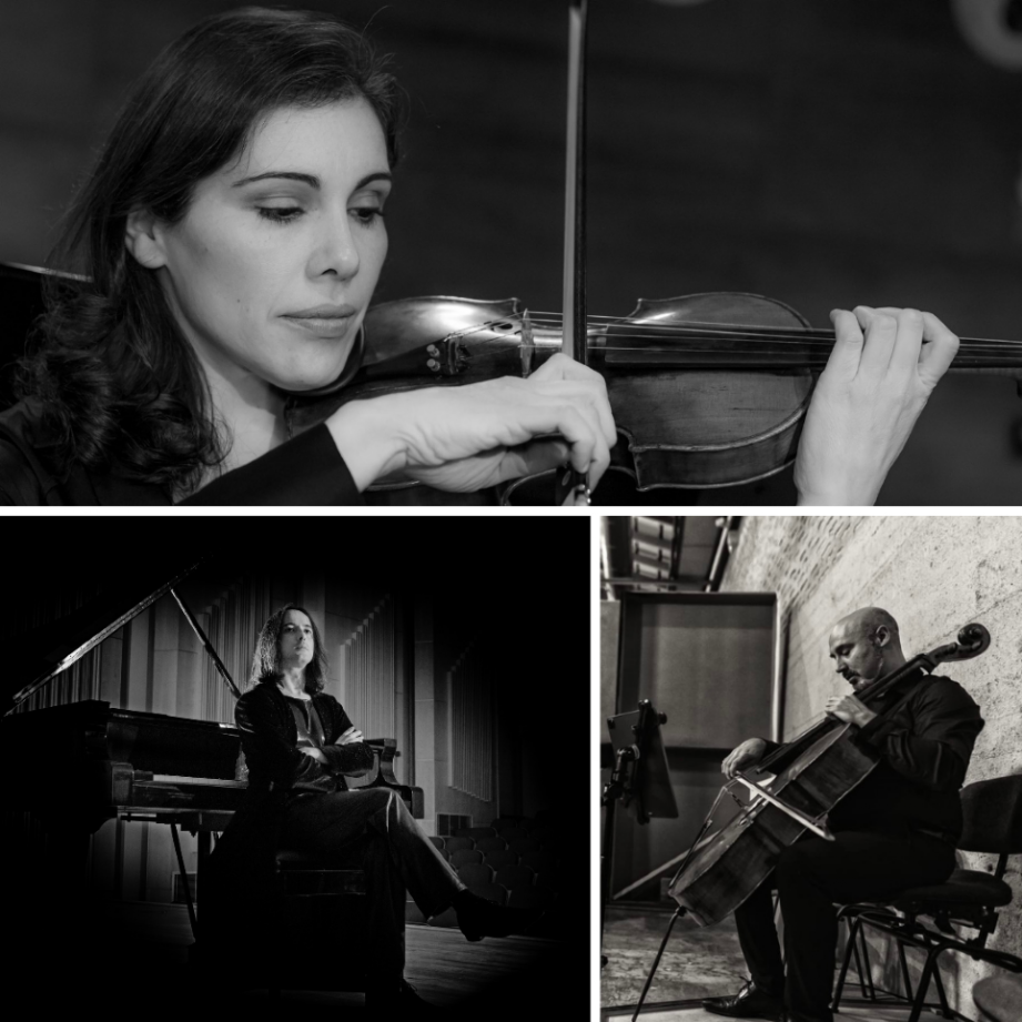 Mischa Dacic, Sandra Alfonso e Iv�n Balaguer, de concierto en la Casa de la Se�or�a de Olocau