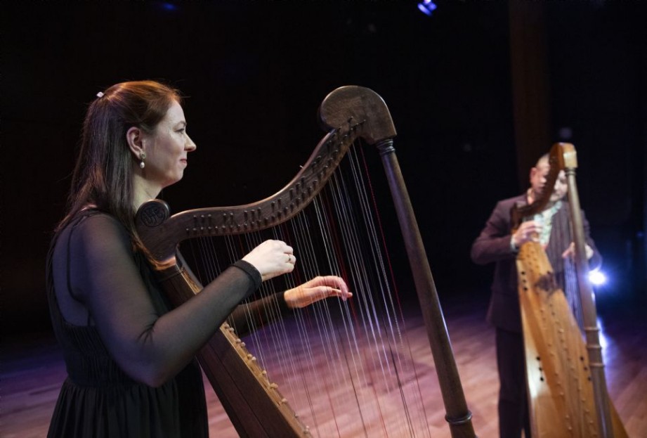 Las Arpas Sonorosas, Fundacin Juan March, Manuel Vilas, Laura Puerto