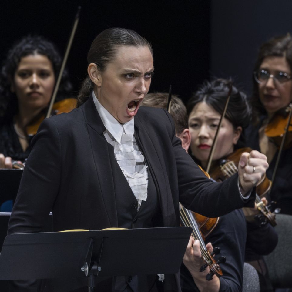 Orlando en el Palau de les Arts de Valencia