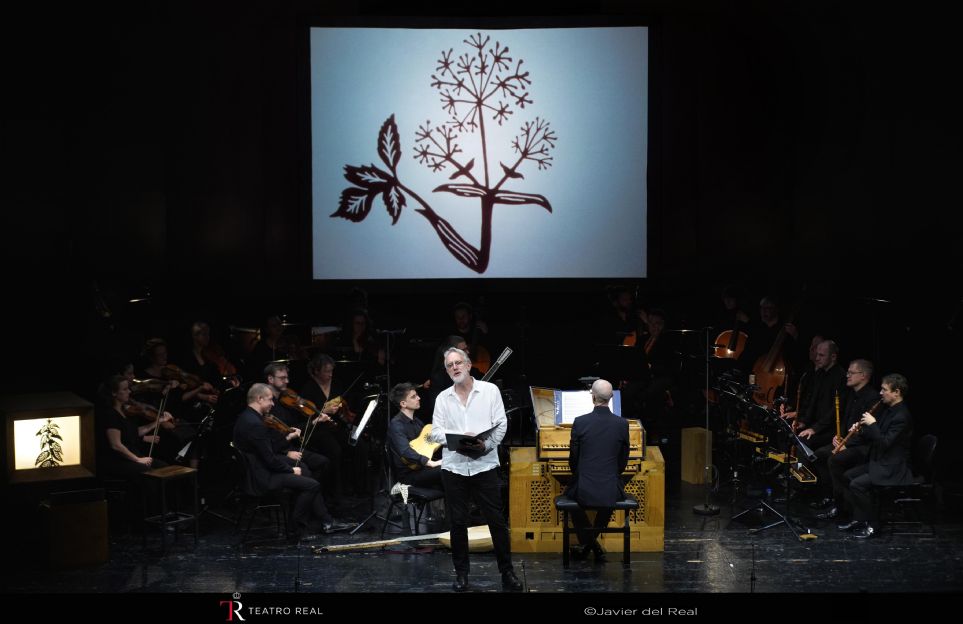 Teatro Real, Vox Luminis, Lionel Meunier, Henry Purcell, Simon Robson