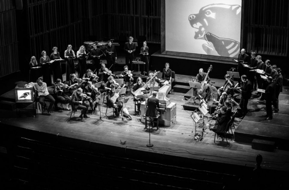 Vox Luminis, FeMS 2025