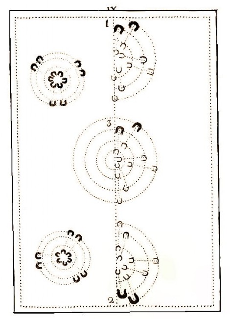 Arte de Andar a Caballo, lmina IV, 1757