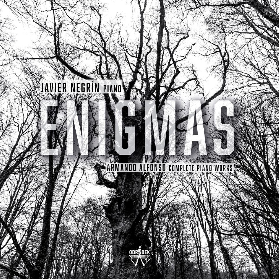 «Enigmas» de Javier Negrín